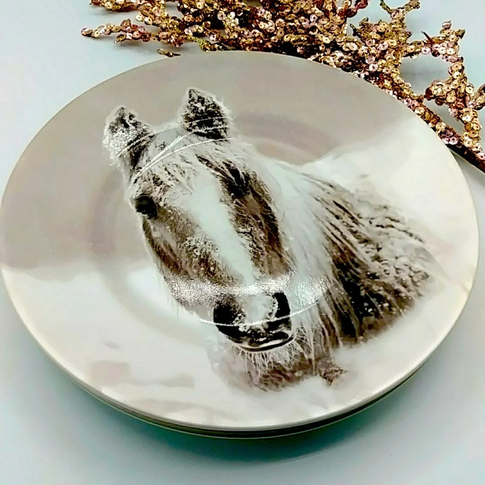 🐴HP! Pier 1 Pair of Accent Plates, Snow Forest Winter Horse. 8.5”